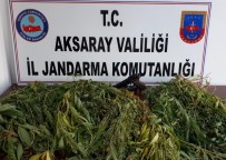 Aksaray'da Hazine Arazisine Kenevir Operasyonu Açıklaması 2 Gözaltı Haberi