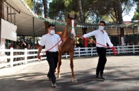 Dubleks Ev Fiyatına Tay