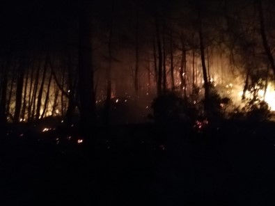 Göcek'teki Orman Yangını Kontrol Altına Alındı