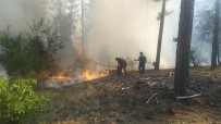 Kastamonu'da Çıkan Orman Yangını Büyümeden Söndürüldü