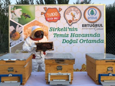 Pursaklar'da 'Purbal' Hasadı