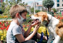 Çorlu Belediyesi Dünya Köpek Gününde Farkındalık Oluşturdu