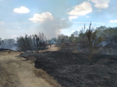 Hatıra Ormanında Yangın Açıklaması 2 Hektar Alan Kül Oldu