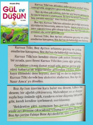 Musa Dinç’in yazdığı ‘Gül ve Düşün’ kitabında tecavüz skandalı