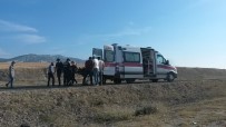 Nallıhan-Ankara Karayolunda Kaza Açıklaması 2 Yaralı Haberi