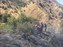 Bingöl'de Orman Yangını, Büyümeden Söndürüldü Haberi