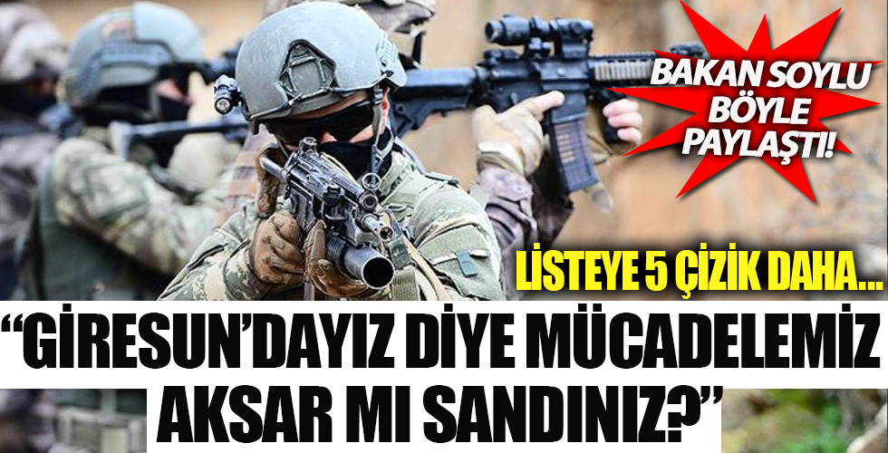 'Giresun'dayız diye mücadelemiz aksar mı sandınız?'