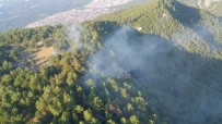 Hızla Kontrol Altına Alınan Orman Yangınında 2 Dekarlık Alan Zarar Gördü