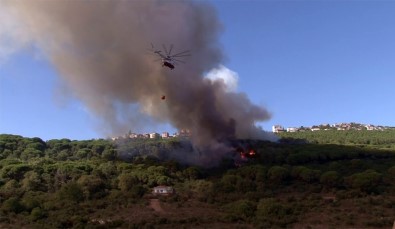 Maltepe'de Korkutan Orman Yangını