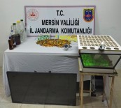 Mersin'de Kumar Oynayan 35 Kişiye 166 Bin 63 Lira Para Cezası