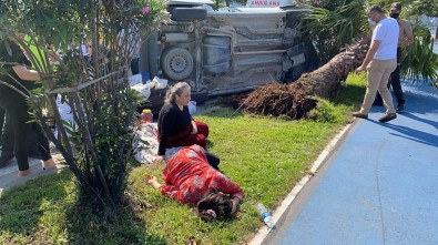 Ordu'da Hafif Ticari Araç Ağaca Çarptı Açıklaması 4 Yaralı