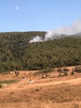 Ormanlık Alanda Çıkan Yangın Büyümeden Söndürüldü