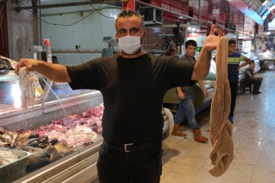 Sakatat Fiyatları Düştü