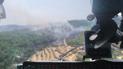 Bozdoğan'da Orman Yangını