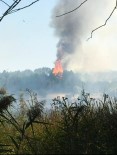 Konya'da Yakılan Anızlar Ormanlık Alana Sıçradı