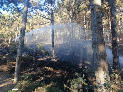 Maltepe'deki Orman Yangını Kontrol Altına Alındı