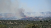 Ayvacık'taki Yangın Kontrol Altına Alındı Haberi