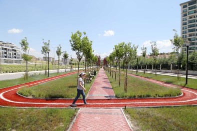 Çankaya'nın Yeni Parkları Halkın Hizmetinde
