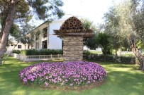 Dokumapark'a 5 Bin Yıllık Arı Sereni Kazandırıldı