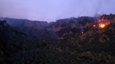 GÜNCELLEME - Aydın'da Zeytinlik Ve İncirlik Alanda Çıkan Yangına Müdahale Ediliyor