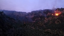 GÜNCELLEME - Aydın'da Zeytinlik Ve İncirlik Alanda Çıkan Yangına Müdahale Ediliyor
