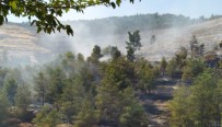 Halfeti'de Çıkan Orman Yangını 16 Saatte Söndürüldü