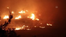 İzmir'deki Orman Yangını Sebebiyle Boşaltılan Bir Site Yandı Haberi
