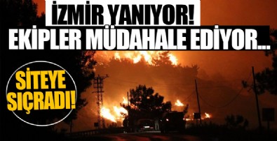 İzmir'deki yangın tahliye edilen siteye sıçradı!