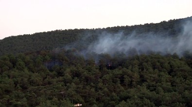 Kayışdağı'nda Çıkan Orman Yangını Kontrol Altına Alındı
