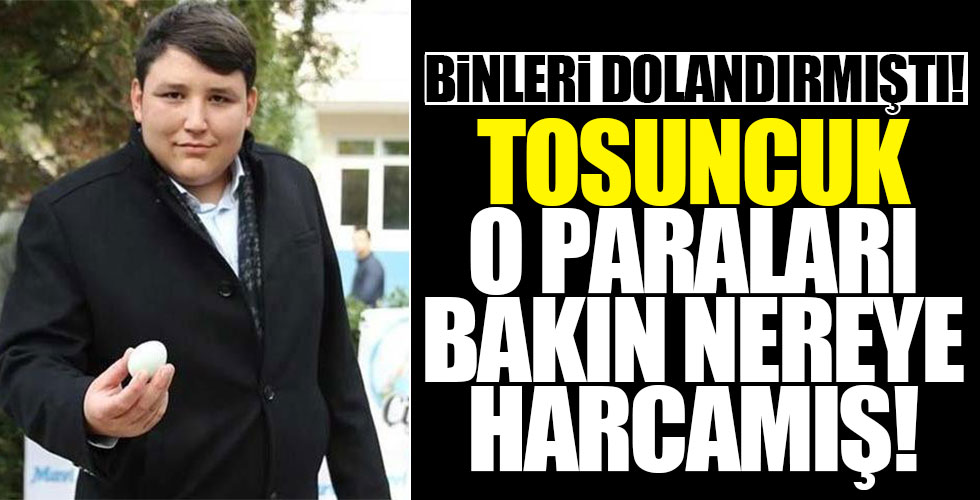 Tosuncuk o paraları bakın nereye yatırmış!