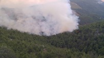 Adana'da Ormanlık Alanda Yangın