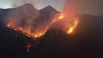Adana'daki Orman Yangını Havadan Görüntülendi