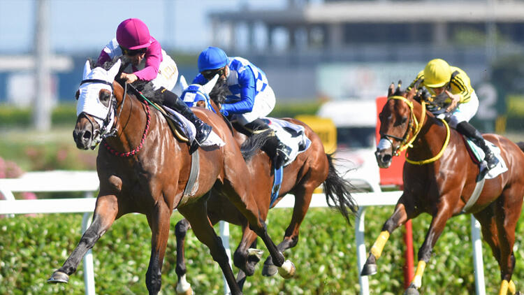 Gazi Koşusu'nun kazananı belli oldu!