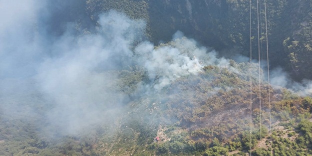 Hatay'da orman yangını çıktı!