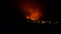 Nallıhan'da Çıkan Orman Yangını Kontrol Altına Alınamadı Haberi