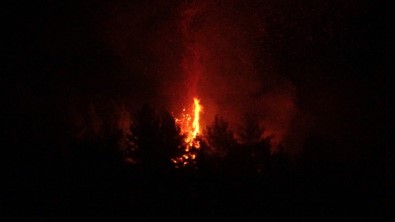 Uşak'ta Çıkan Orman Yangını Paniğe Neden Oldu