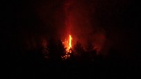 Uşak'ta Çıkan Orman Yangını Paniğe Neden Oldu