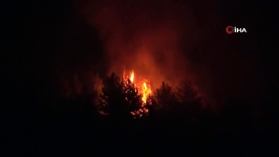 Uşak'ta Ormanlık Alanda Çıkan Yangın Söndürüldü