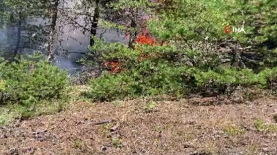 Amasya'daki Orman Yangını Söndürüldü
