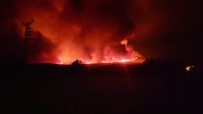 Ankara'da Orman Yangını Haberi