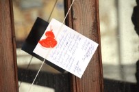 Bodrum'un En Ünlü Mekanları Teker Teker Mühürlendi