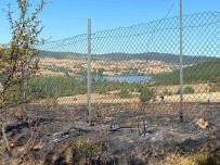 Eflani'de Çıkan Yangın Ormana Sıçramadan Söndürüldü Haberi