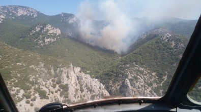 İzmir'de Orman Yangını Açıklaması Ekipler Müdahale Ediyor