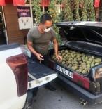 Manisa'da Ağaçlara Zarar Veren Şahıslar Yakalandı