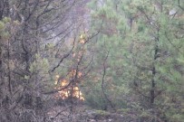 Nallıhan'daki Orman Yangını Kontrol Altına Alındı Haberi