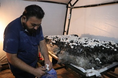 Sağlık Sorunları Nedeniyle Başladığı İşten 50 Günde 25 Bin TL Kazanıyor