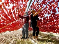 Son Kurutmalıklar Güneşe Bırakılıyor