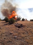 Uzunyurt Köyü'nde Orman Yangını Haberi