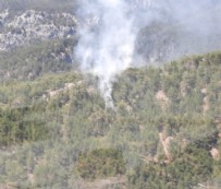 YILDIRIM DÜŞMESİ - Antalya'da orman yangını!