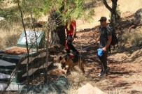 Kaybolan Miraç'ı Arama Çalışmaları 5'İnci Gününde